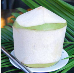 去三亞除了沙灘 美食,還有這些自帶故事的熱帶植物也不能錯(cuò)過(guò)